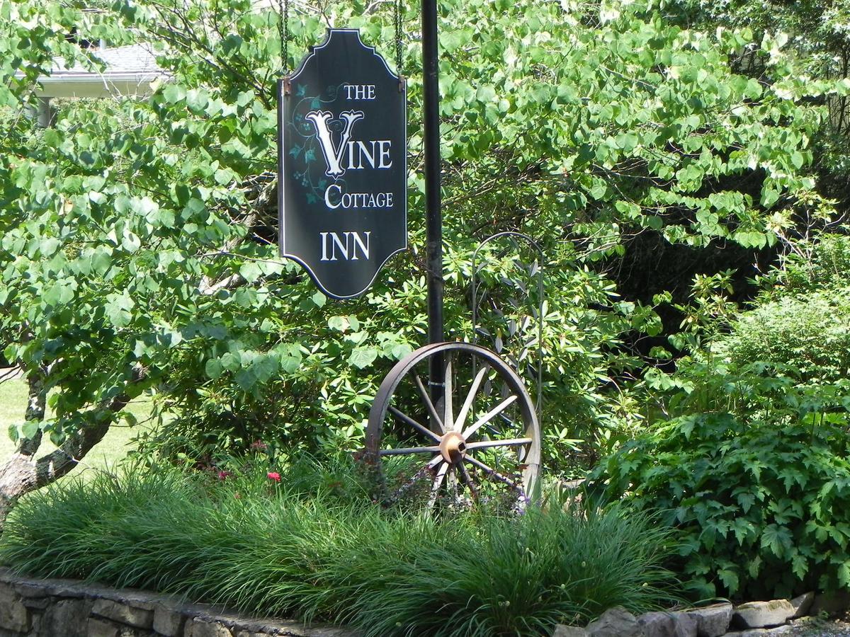 Vine Cottage Inn Хот-Спрингс Экстерьер фото